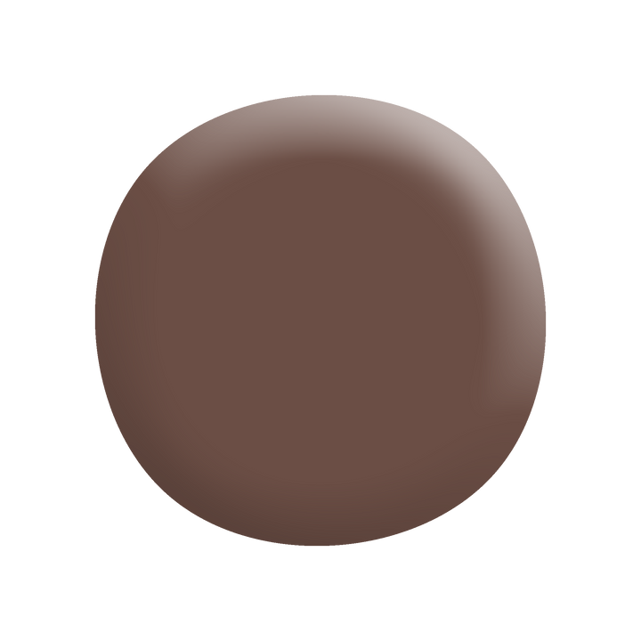 Energy Star® Yallara Brown Apa8077-Paint by Wallmaster Paints