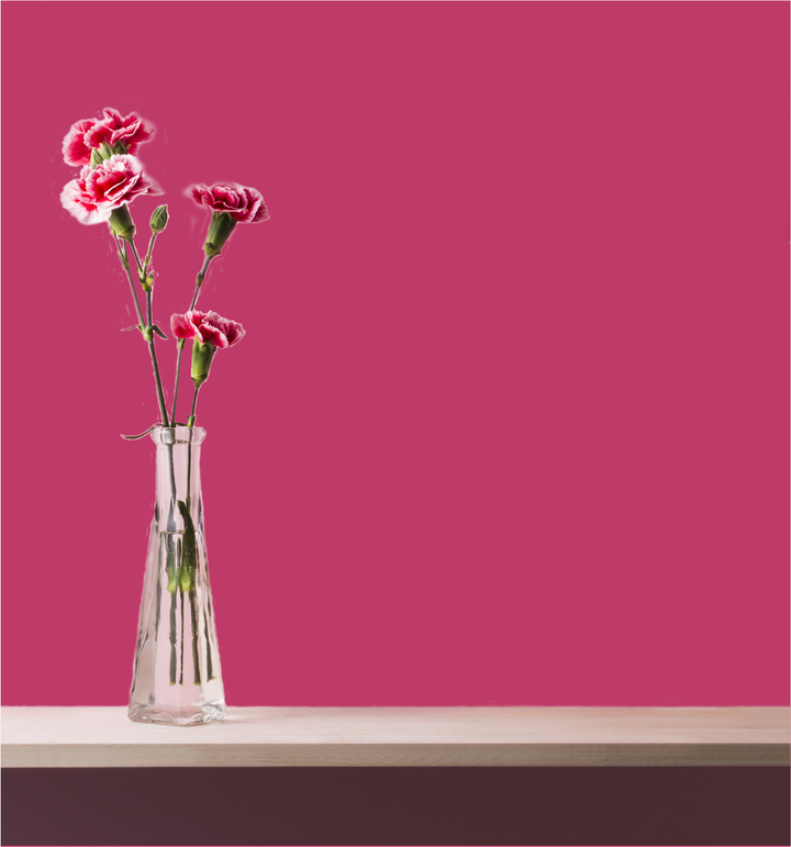 Regal Rose Wm17Cc 122-6-Paint by Wallmaster Paints