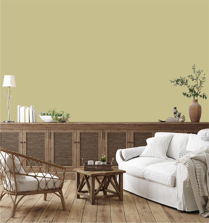 Safari Dust Wm17Cc 081-3-Paint by Wallmaster Paints