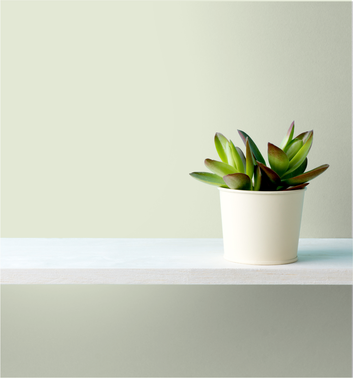 Soft Jade Wm17Cc 067-1-Paint by Wallmaster Paints